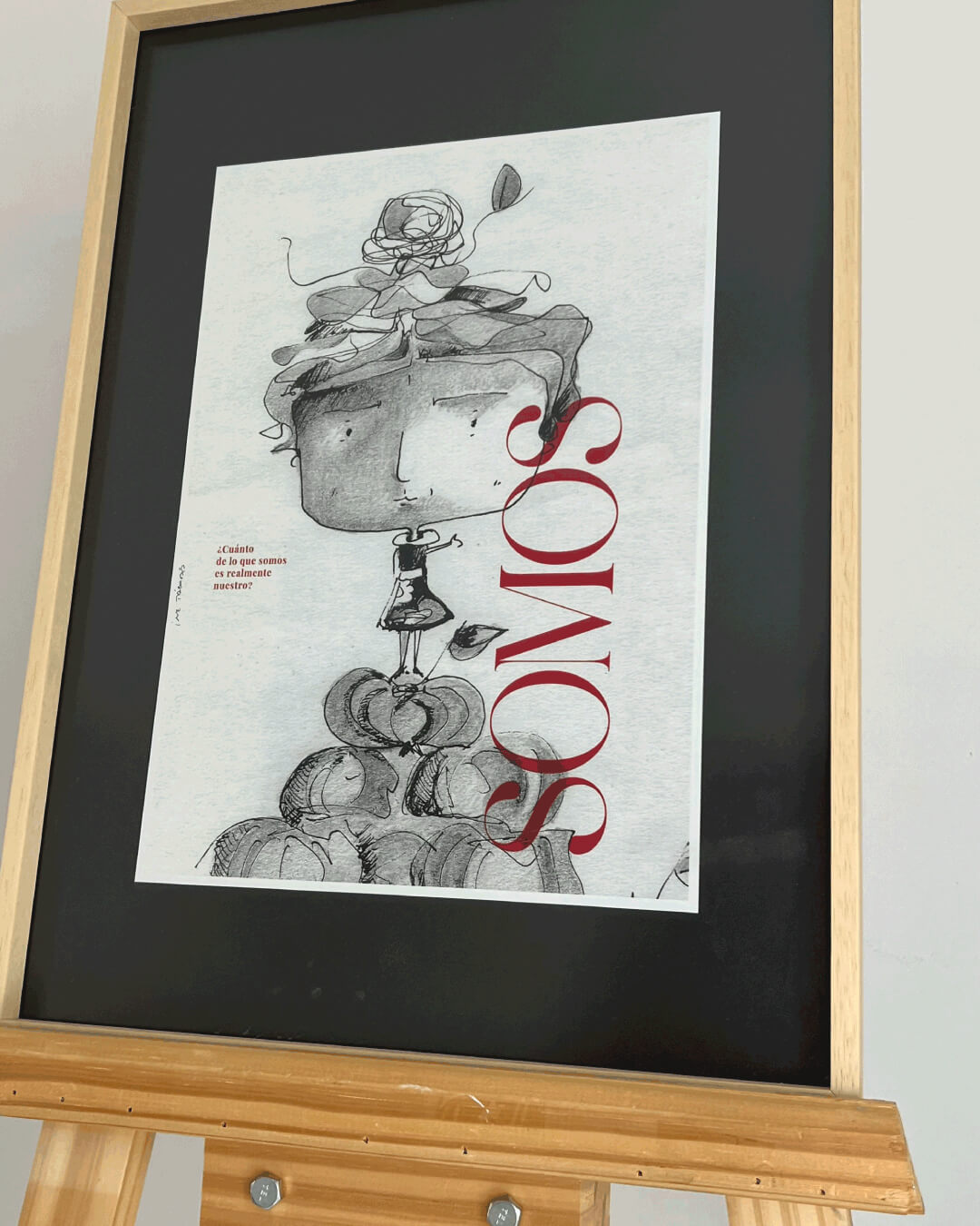 Serie: Somos - imagen 9