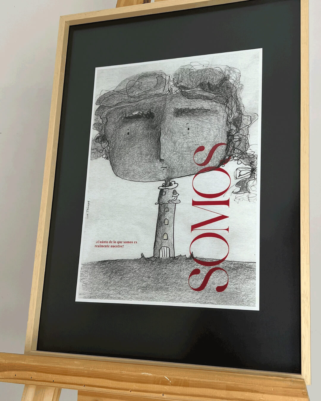 Serie: Somos - imagen 10